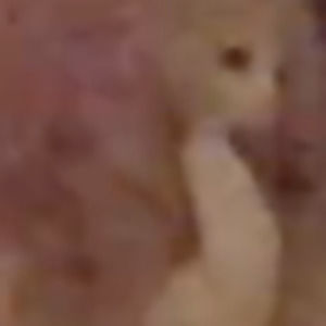 Meet your Posher, Fin